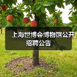 上海世博会博物馆公开招聘公告 上海世博会博物馆公开招聘公告