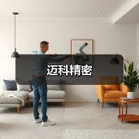 迈科精密（图2）