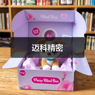 迈科精密（图4）