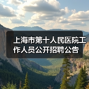 上海市第十人民医院工作人员公开招聘公告(图3) 上海市第十人民医院工作人员公开招聘公告(图3)
