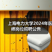上海电力大学2024年医师岗位招聘公告（图3）