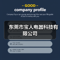 东莞市宝人电器科技有限公司(图1) 东莞市宝人电器科技有限公司(图1)