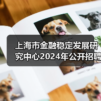 上海市金融稳定发展研究中心2024年公开招聘工作人员公告（第二批）（图2）
