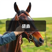 盛鑫（图1）