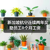 新加坡航空连续两年奖励员工8个月工资(图1) 新加坡航空连续两年奖励员工8个月工资(图1)