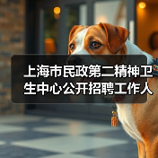 上海市民政第二精神卫生中心公开招聘工作人员公告(图3) 上海市民政第二精神卫生中心公开招聘工作人员公告(图3)
