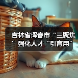 吉林省珲春市“三聚焦”强化人才“引育用”(图3) 吉林省珲春市“三聚焦”强化人才“引育用”(图3)