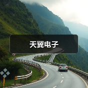 天翼电子（图1）