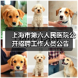 上海市第六人民医院公开招聘工作人员公告(图2) 上海市第六人民医院公开招聘工作人员公告(图2)