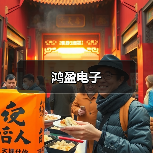 鸿盈电子（图1）