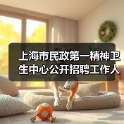 上海市民政第一精神卫生中心公开招聘工作人员公告（图3）