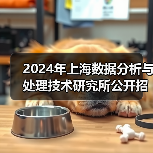 2024年上海数据分析与处理技术研究所公开招聘公告(图3) 2024年上海数据分析与处理技术研究所公开招聘公告(图3)