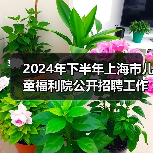 2024年下半年上海市儿童福利院公开招聘工作人员公告(图1) 2024年下半年上海市儿童福利院公开招聘工作人员公告(图1)