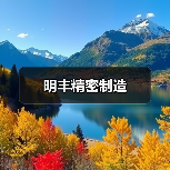 明丰精密制造（图2）