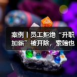 案例丨员工拒绝“升职加薪”被开除,索赔也未获法院支持(图1) 案例丨员工拒绝“升职加薪”被开除,索赔也未获法院支持(图1)