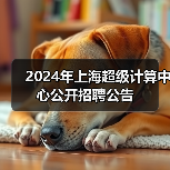 2024年上海超级计算中心公开招聘公告（图3）