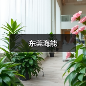 东莞海能(图4) 东莞海能(图4)