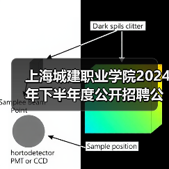 上海城建职业学院2024年下半年度公开招聘公告（图4）