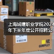 上海城建职业学院2024年下半年度公开招聘公告（图2）