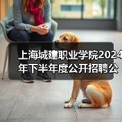上海城建职业学院2024年下半年度公开招聘公告（图1）