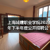 上海城建职业学院2024年下半年度公开招聘公告（图3）
