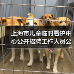 上海市儿童临时看护中心公开招聘工作人员公告(图1) 上海市儿童临时看护中心公开招聘工作人员公告(图1)