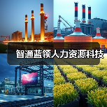 智通蓝领人力资源科技（图4）
