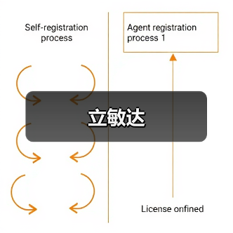 立敏达（图4）