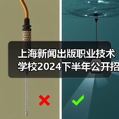 上海新闻出版职业技术学校2024下半年公开招聘工作人员公告(图4) 上海新闻出版职业技术学校2024下半年公开招聘工作人员公告(图4)