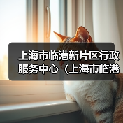 上海市临港新片区行政服务中心(上海市临港新片区大数据中心)2024年公开招聘工作人员公告(图1) 上海市临港新片区行政服务中心(上海市临港新片区大数据中心)2024年公开招聘工作人员公告(图1)