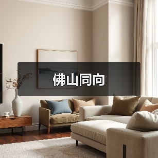 佛山同向（图4）