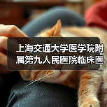 上海交通大学医学院附属第九人民医院临床医技科室科主任招聘公告(图1) 上海交通大学医学院附属第九人民医院临床医技科室科主任招聘公告(图1)