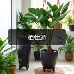 佰仕通(图2) 佰仕通(图2)