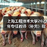 上海工程技术大学2024年专任教师(补充)招聘公告(图4) 上海工程技术大学2024年专任教师(补充)招聘公告(图4)