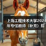 上海工程技术大学2024年专任教师(补充)招聘公告(图3) 上海工程技术大学2024年专任教师(补充)招聘公告(图3)