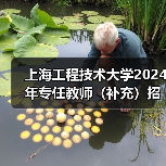 上海工程技术大学2024年专任教师(补充)招聘公告(图2) 上海工程技术大学2024年专任教师(补充)招聘公告(图2)