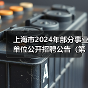 上海市2024年部分事业单位公开招聘公告(第二批)(图4) 上海市2024年部分事业单位公开招聘公告(第二批)(图4)