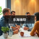 东莞硅翔（图4）