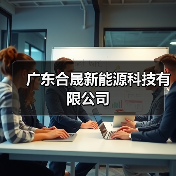 广东合晟新能源科技有限公司（图4）