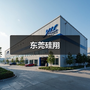 东莞硅翔（图2）