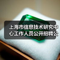 上海市信息技术研究中心工作人员公开招聘公告（图3）