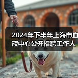 2024年下半年上海市血液中心公开招聘工作人员公告(图3) 2024年下半年上海市血液中心公开招聘工作人员公告(图3)