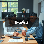 明鑫电子(图3) 明鑫电子(图3)