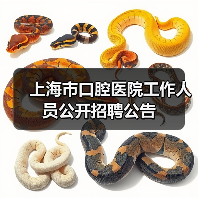 上海市口腔医院工作人员公开招聘公告(图2) 上海市口腔医院工作人员公开招聘公告(图2)