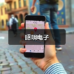 昭明电子(图1) 昭明电子(图1)