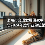 上海市交通发展研究中心2024年度事业单位第二轮自主招聘公告(图1) 上海市交通发展研究中心2024年度事业单位第二轮自主招聘公告(图1)