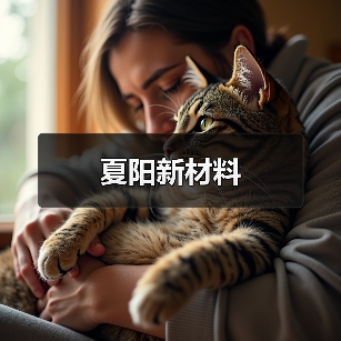 夏阳新材料（图4）