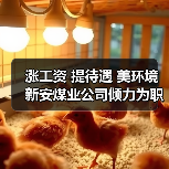 涨工资 提待遇 美环境 新安煤业公司倾力为职工谋福利(图3) 涨工资 提待遇 美环境 新安煤业公司倾力为职工谋福利(图3)