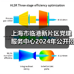 上海市临港新片区党建服务中心2024年公开招聘工作人员公告（图2）