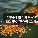 上海市临港新片区党建服务中心2024年公开招聘工作人员公告（图3）